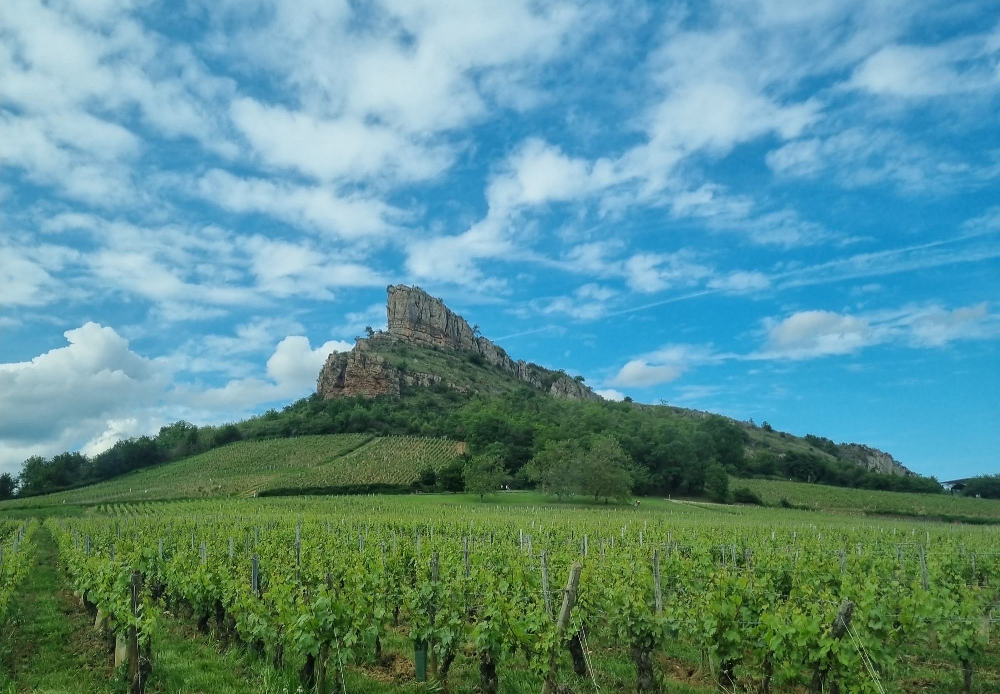 La Roche de Solutré au-dessus des vignes
